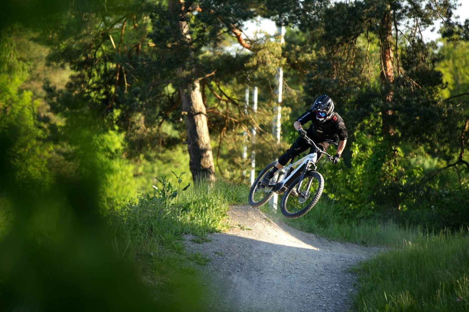 Eine Person auf einem Mountainbike fährt durch einen Wald und führt auf einem Weg einen Trick aus, bei dem sie in der Luft schwebt.